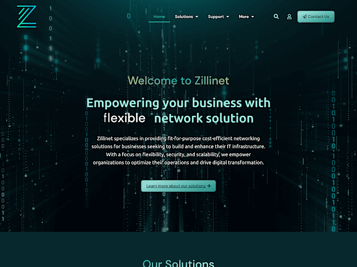 Cover image for Zillinet - Networking Solutions Website Development