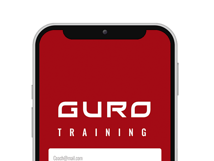 Cover image for GURO Box | Visual Designer - Developer