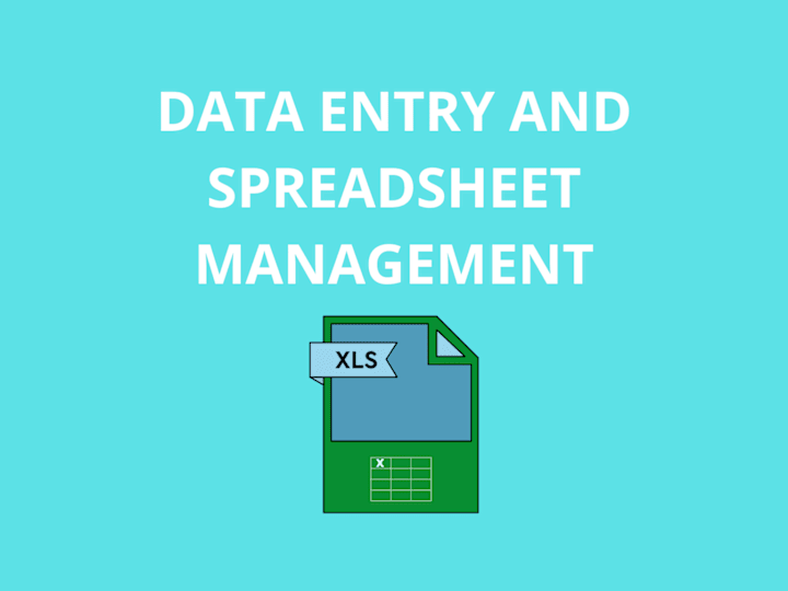 Cover image for Data Entry and Spreadsheet Management