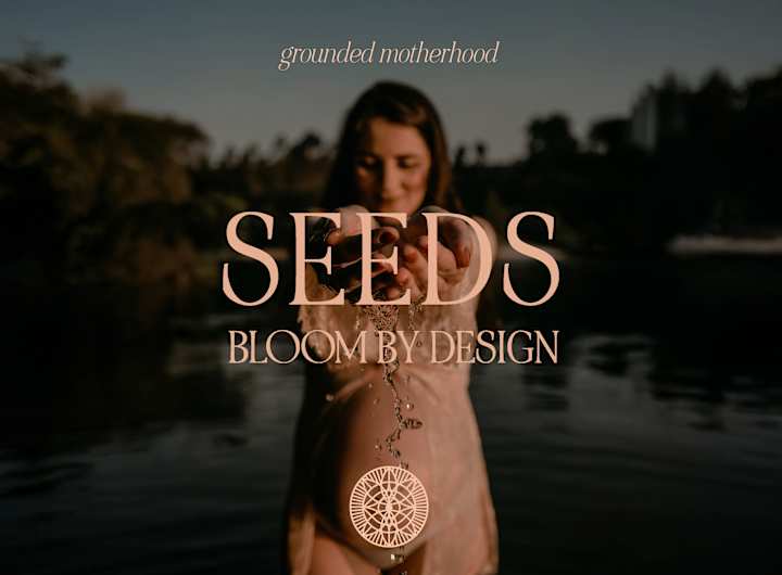 Cover image for Seeds ~ Brand Design and Discovery