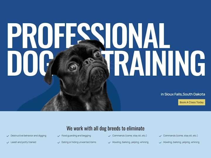 Cover image for A1 Dixie - Dog Training
