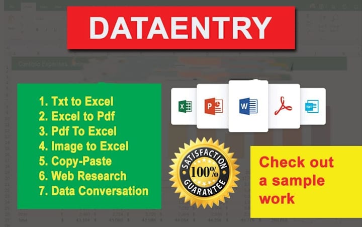 Cover image for DATA ENTRY