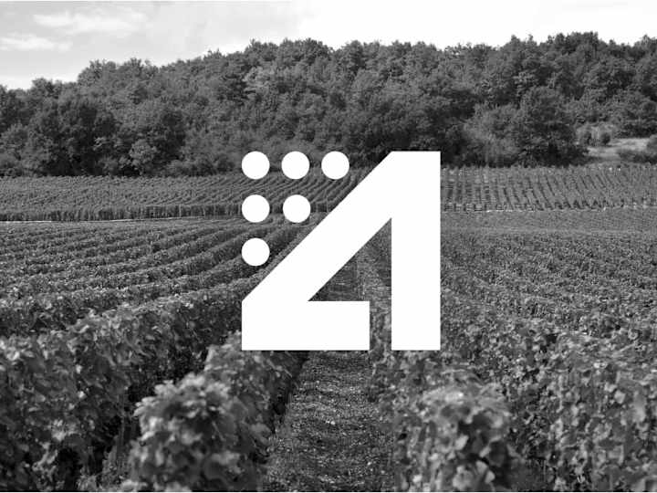 Cover image for Aurora Wines 