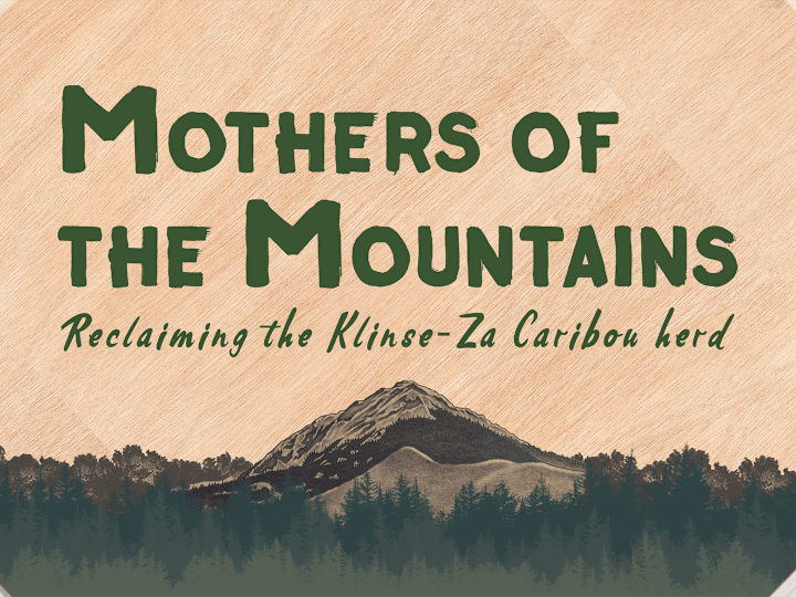 Cover image for Documentary | Mothers of the Mountains