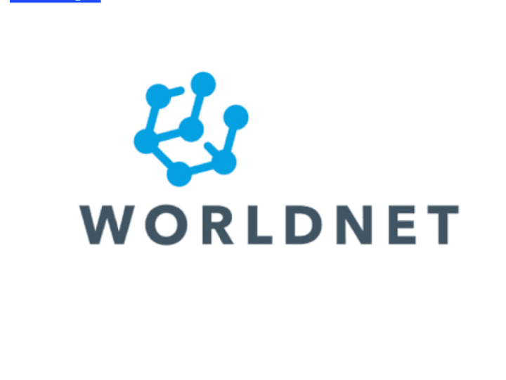 Cover image for WorldNet Brand Identity