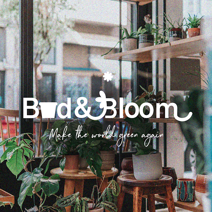 Cover image for Bud & Bloom