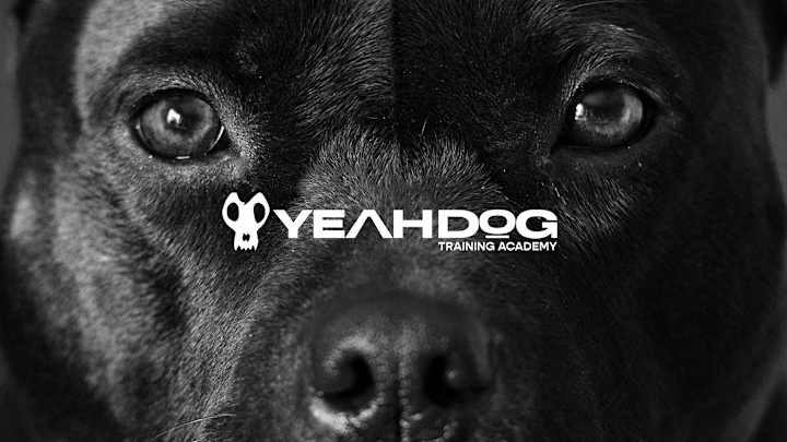 Cover image for REBRANDING - YEAH DOG