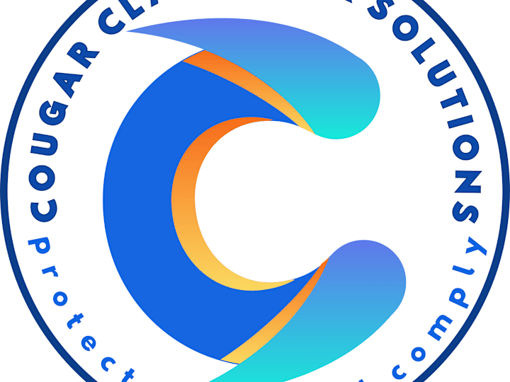 Cover image for vCISO for your organization