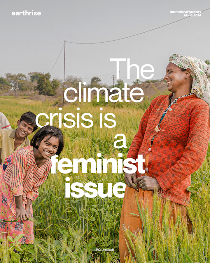 Cover image for Editorial design for climate storytelling