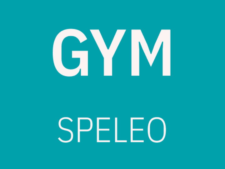 Cover image for Speleo Gym