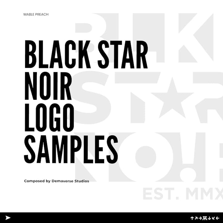 Cover image for BLACK STAR NOIR LOGO DESIGN SAMPLES