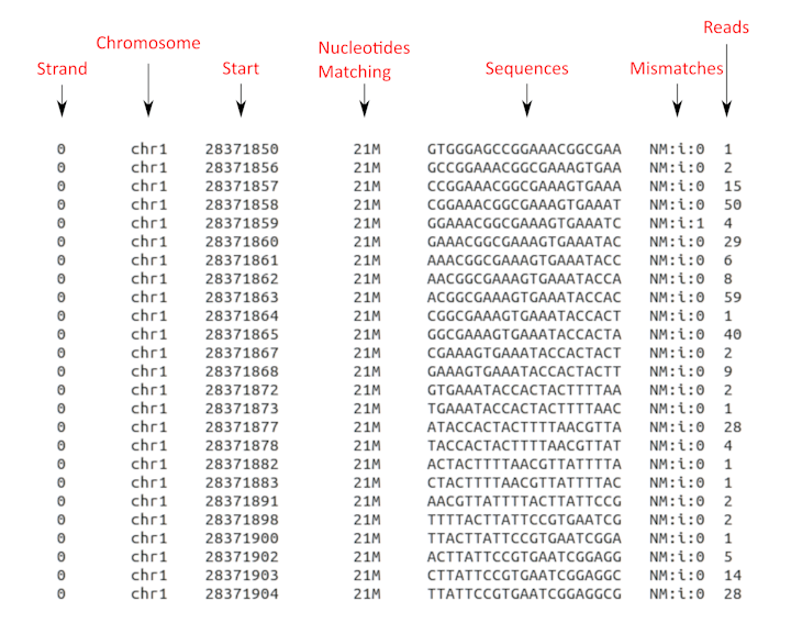 Cover image for Bioinformatic tool: Read_extractor