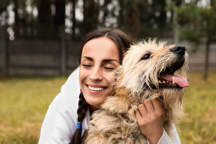 Cover image for The Legal Aspects of Emotional Support Animal Letters