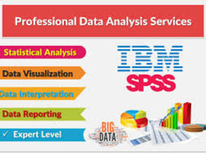 Cover image for Professional Data Analysis 