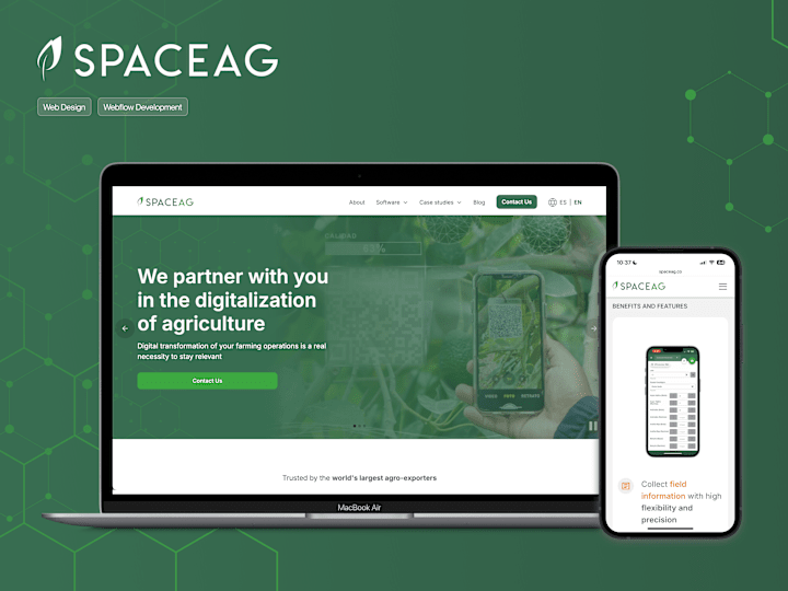 Cover image for Space AG - Web Design & Webflow Dev