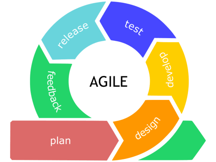 Cover image for Software Project Management: Vision to Reality