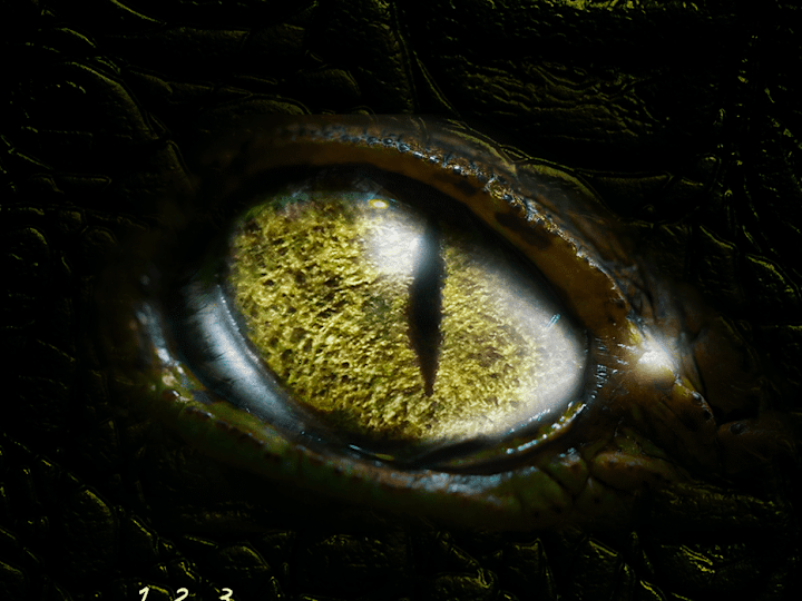 Cover image for Spooky season is upon us!