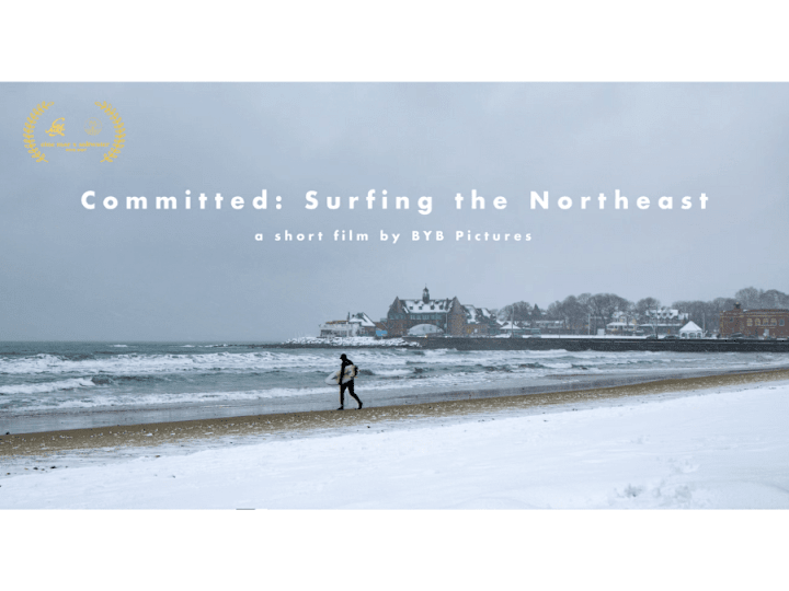 Cover image for Committed: Surfing the Northeast