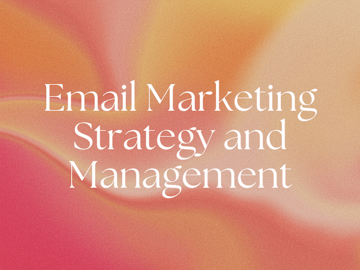 Cover image for Email Marketing Management and Strategy