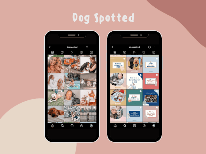 Cover image for Dog Spotted