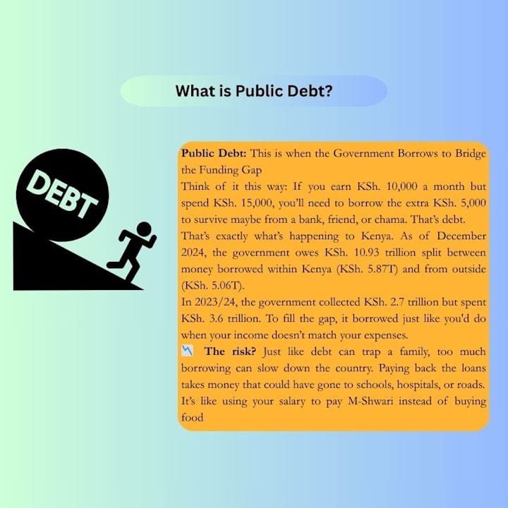 Cover image for Public Debt Explainer