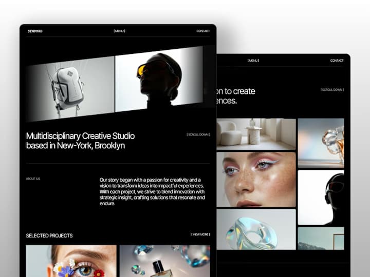 Cover image for SERPIN - Web Template for Agency & Studio Owners.