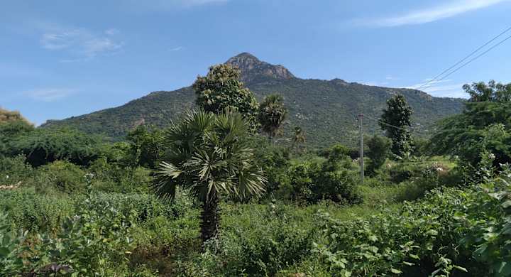 Cover image for Girivalam 46: My Pilgrimage at Arunachala