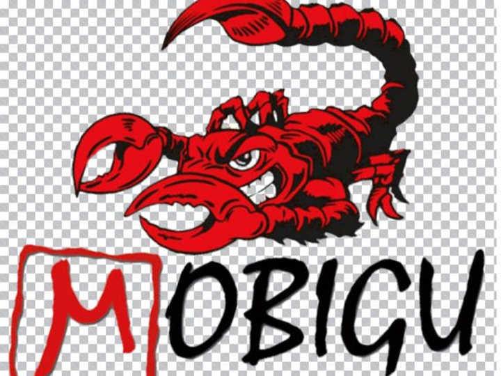 Cover image for Mobigu