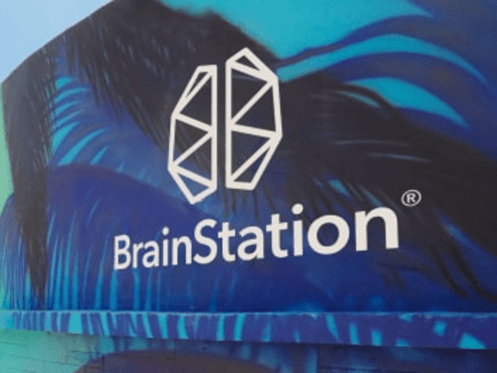 Cover image for Brainstation Miami