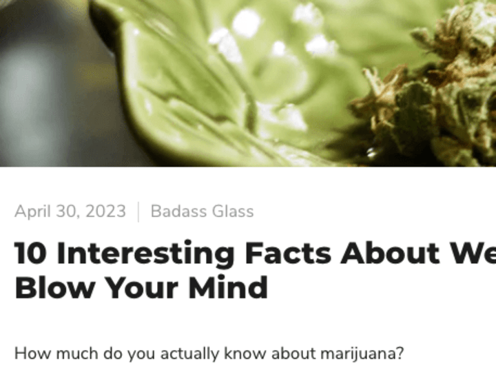 Cover image for Blog articles for cannabis related content