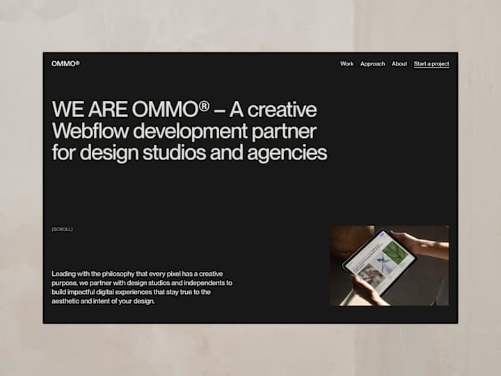 Cover image for Webflow Development