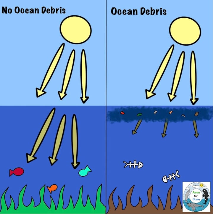 Cover image for Ocean Debris Infographic