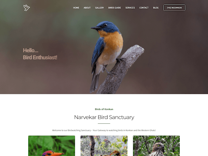 Cover image for Bird Sanctuary Website