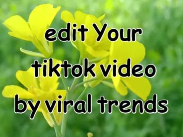 Cover image for I will edit your social media videos like tiktok, instagram reel