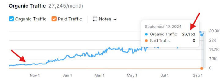 Cover image for Case Study: 20X Traffic & 6X Revenue in 2 Months
