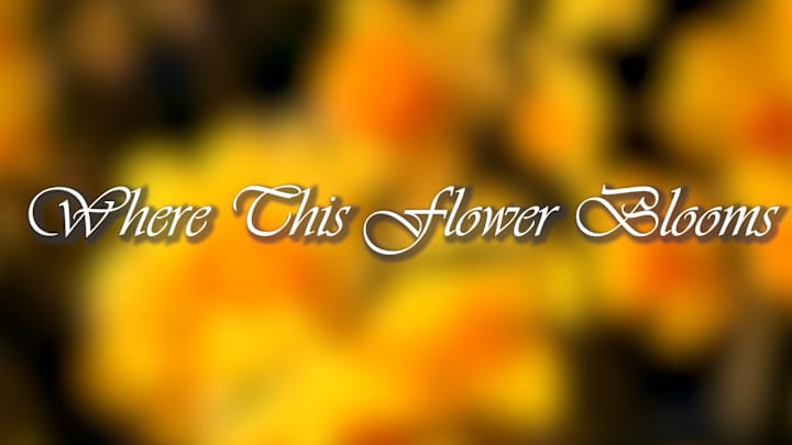 Cover image for Where This Flower Blooms - YouTube