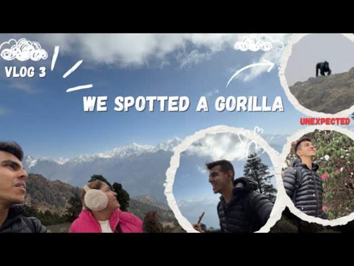 Cover image for ronak vlog - YouTube
