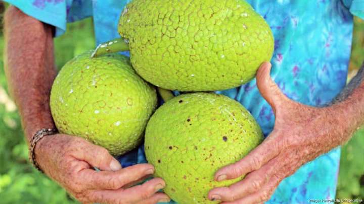 Cover image for Federal Funding Cuts Impact Hawaii's Research