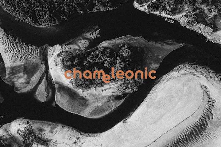 Cover image for Chameleonic