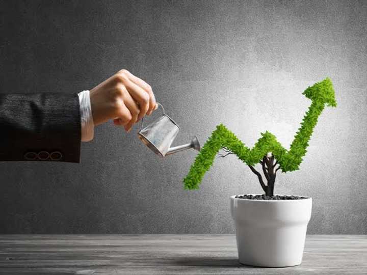 Cover image for StrategiGrow: Crafting Your Path to Success
