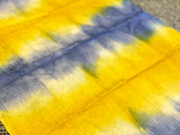 Cover image for Vibrant Tapestries