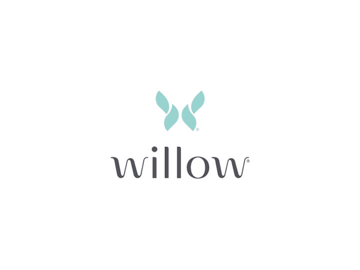 Cover image for Willow is AI-Ready with Synchronizes Data Systems