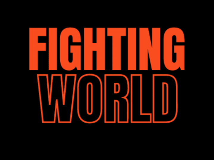 Cover image for Fighting World