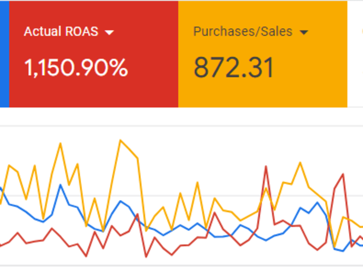 Cover image for Achieved 1100% Return on Advertising Spend