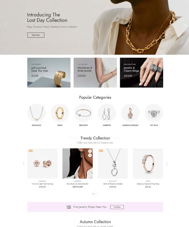 Cover image for Shopify Jewelry Brand Store Design