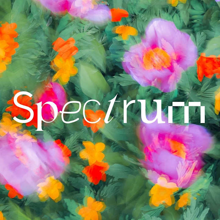 Cover image for 🌈 Spectrum Mag.