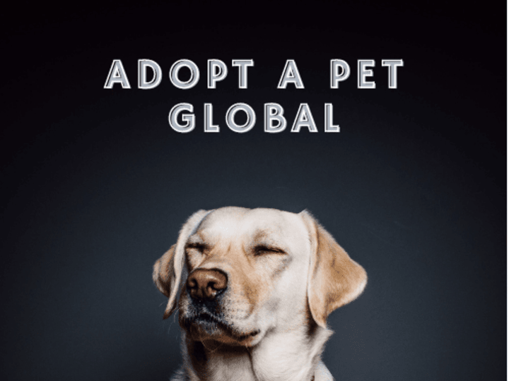 Cover image for Adopt A Pet Global