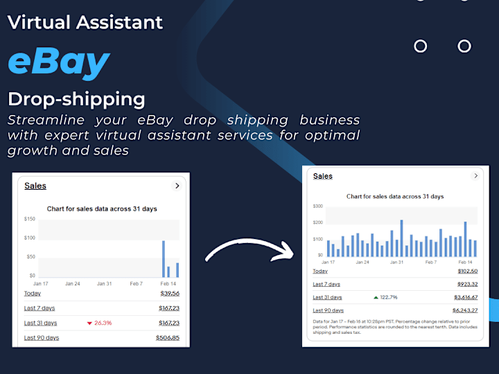 Cover image for Expert eBay Virtual Assistant for Drop Shipping