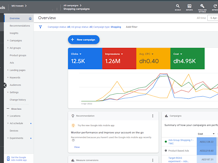 Cover image for Maximizing Sales with Google Ads Campaigns