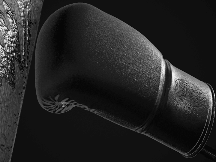 Cover image for Fakonacci Boxing Gloves